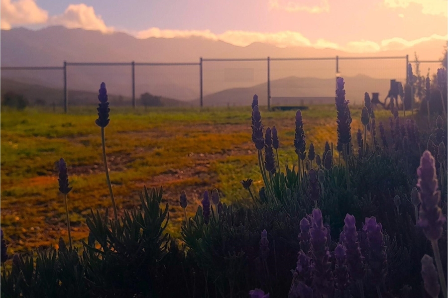 0 Bedroom Property for Sale in Robertson Western Cape
